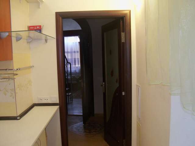 Апартаменты Apartment Roman Львов-17